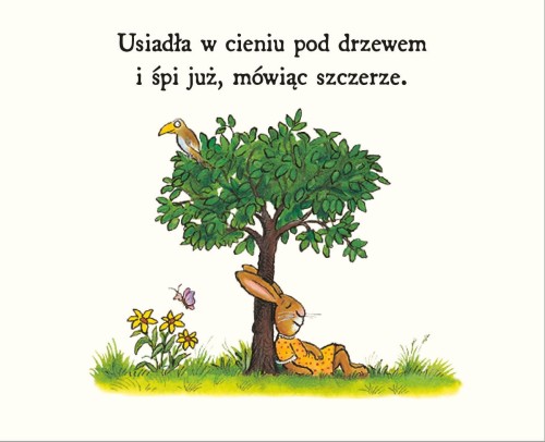 Króliczka chce spać 1.JPG