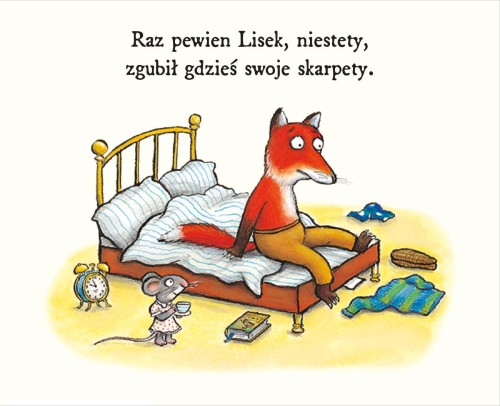 Lisek szuka skarpet 1.JPG