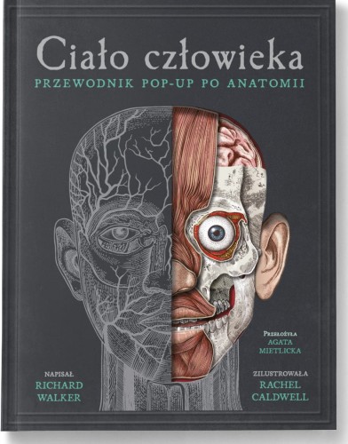 Cialo z cieniem.jpg