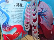 20260918_121038.jpg